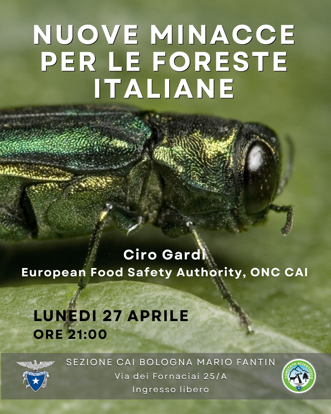 FuturoForeste 2026 05 27 Foreste3 1