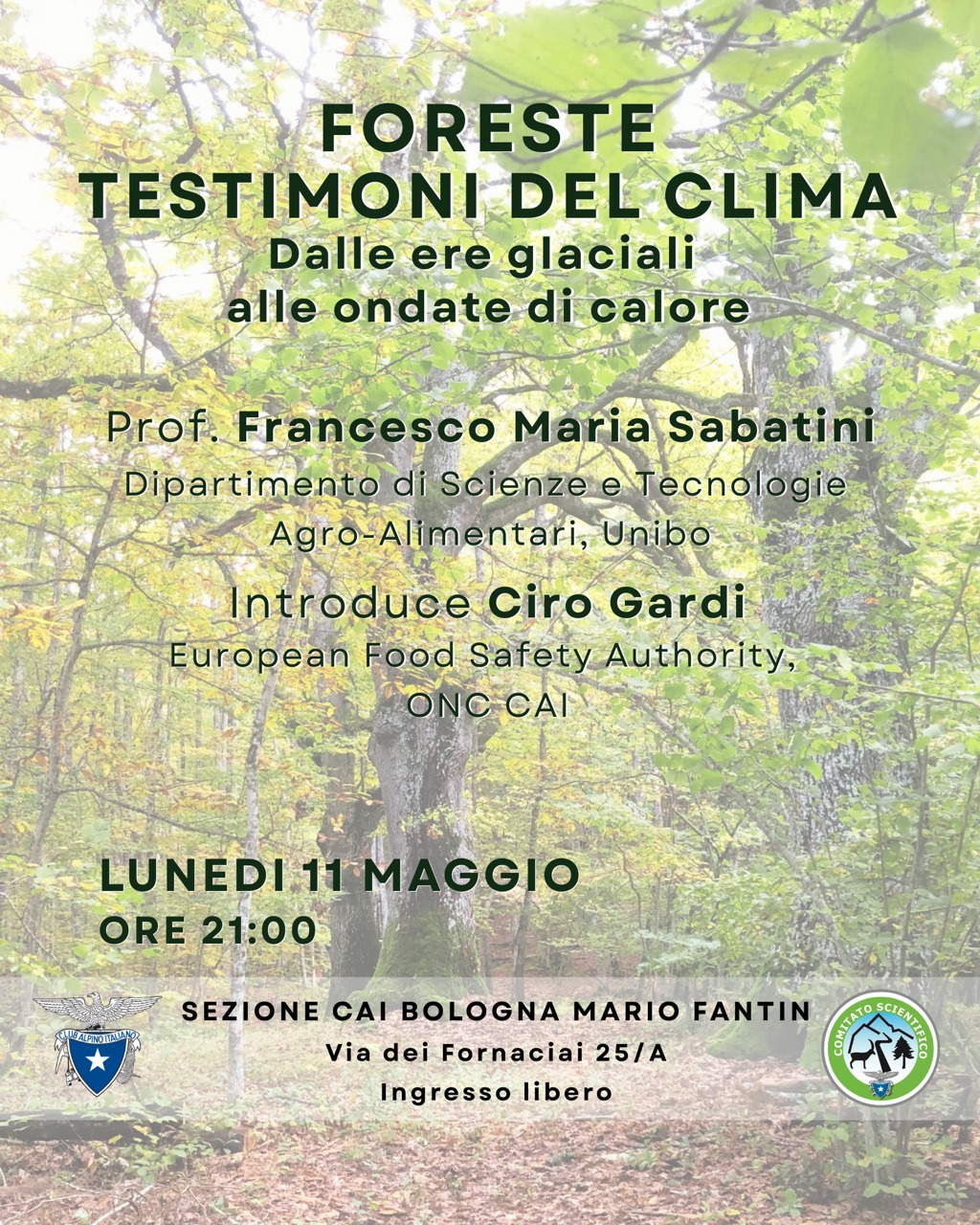 foreste testimoni del clima 11 maggio 