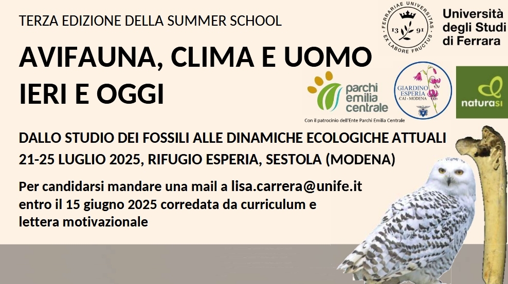 SummerSchool